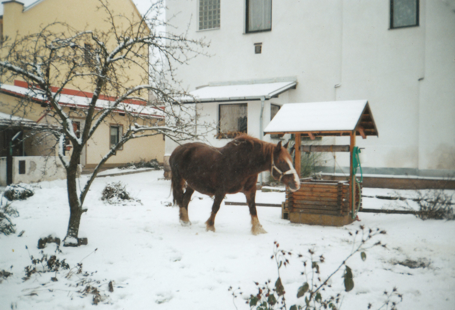 Jiskra